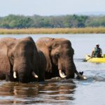Cheap Activities in Victoria Falls – Experience More, Spend Less