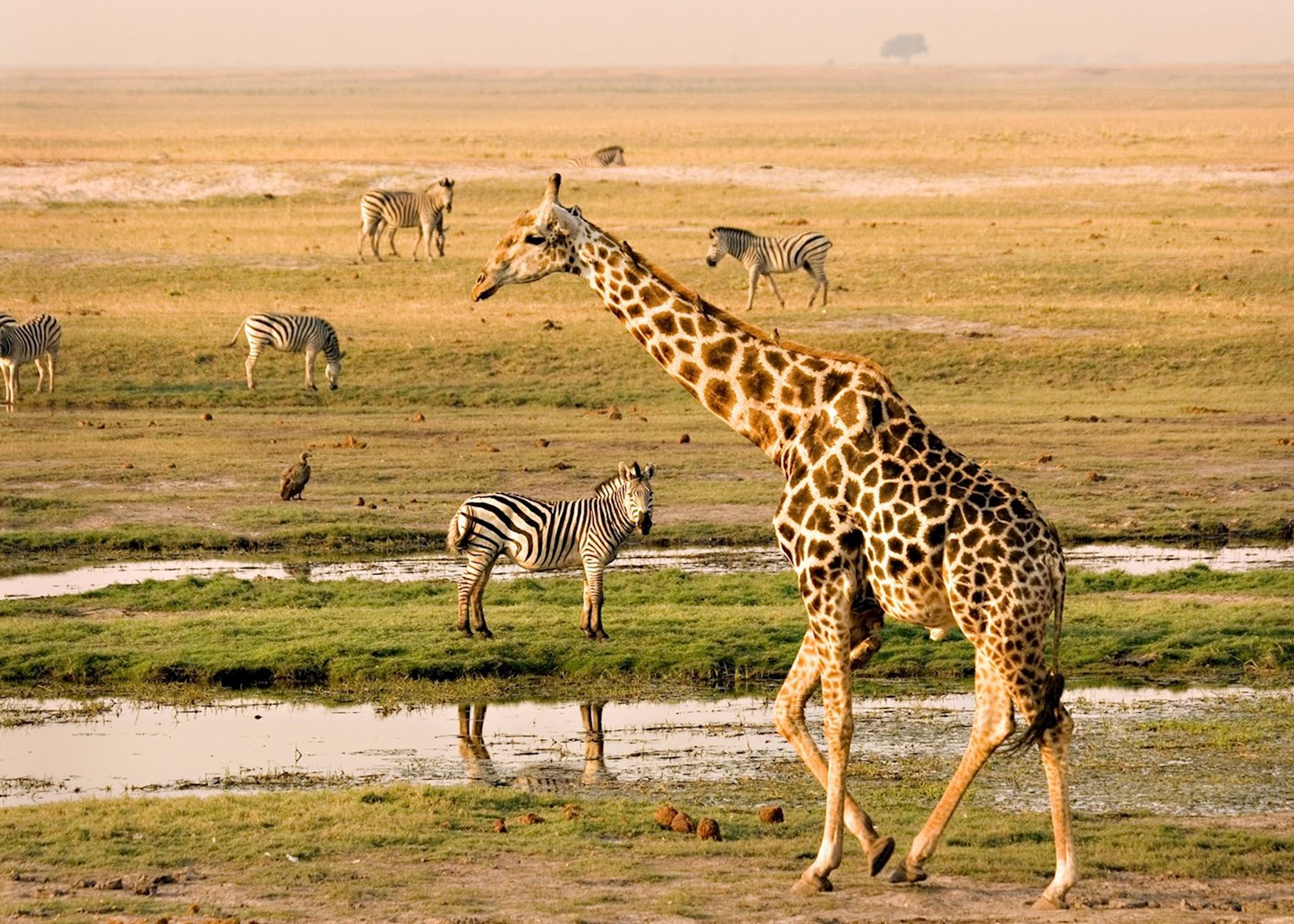 Luxury Victoria Falls Experience