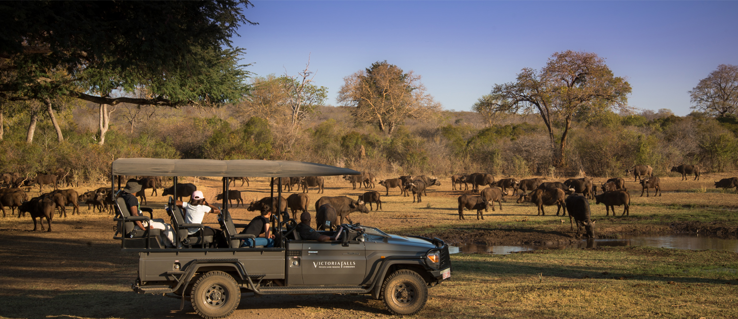 Zambezi National Park: Africa’s Most Overlooked Safari Gem (2025–2026)