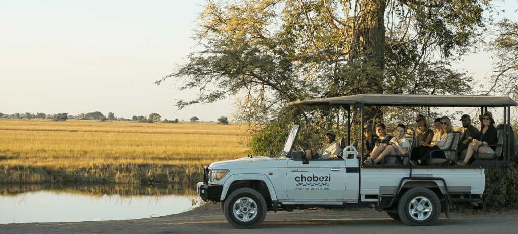 Wildlife spotted on a game drive near Victoria Falls, featuring a safari vehicle observing giraffes and zebras in open savannah terrain