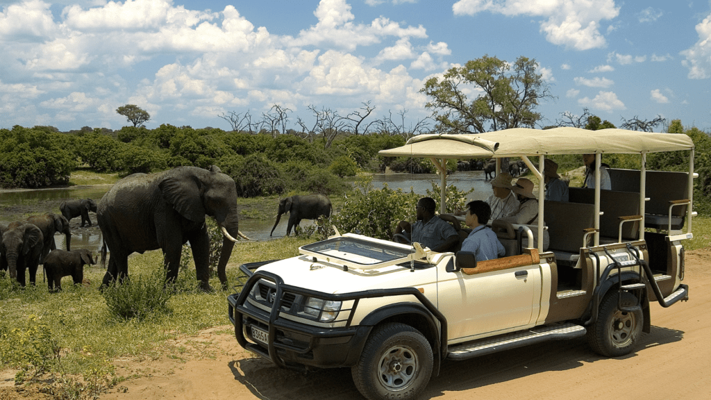 Open safari vehicle on a game drive near Victoria Falls, with guests observing elephants and antelope in Chobe National Park