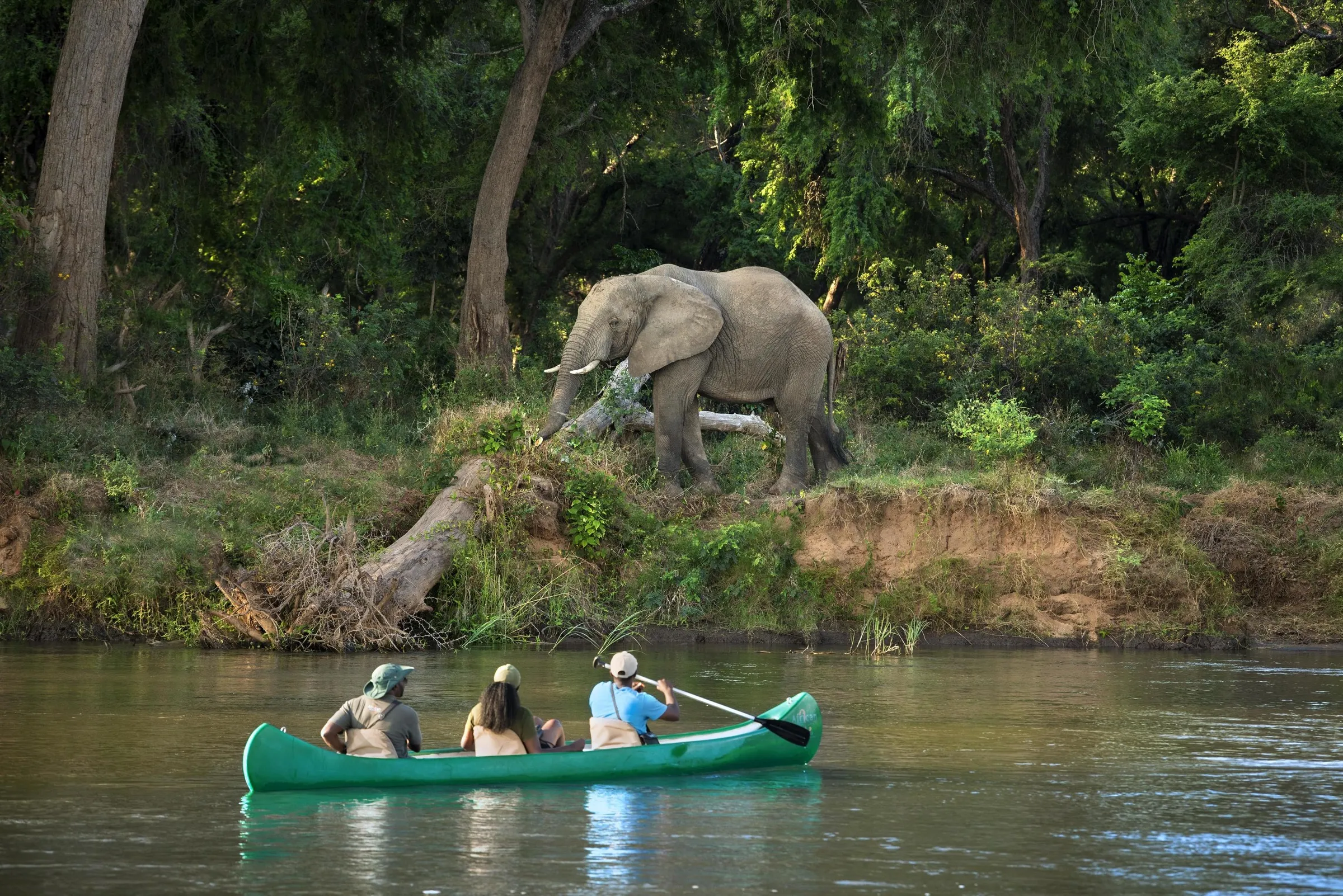 Zambezi National Park: Africa’s Most Overlooked Safari Gem (2025–2026)