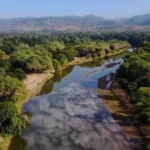 Zambezi National Park: Africa’s Most Overlooked Safari Gem (2025–2026)