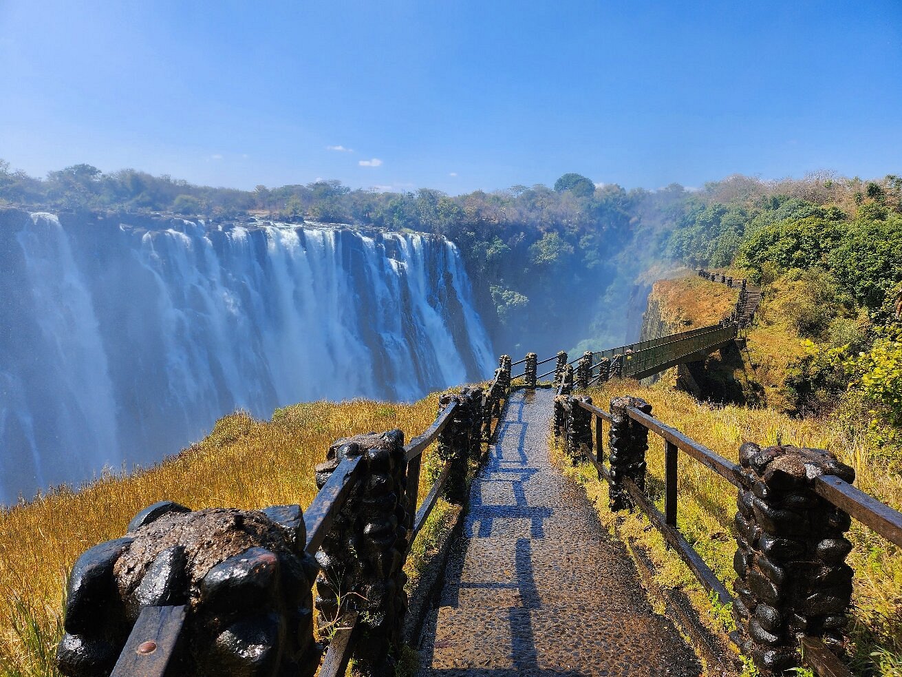 Victoria Falls safari photo