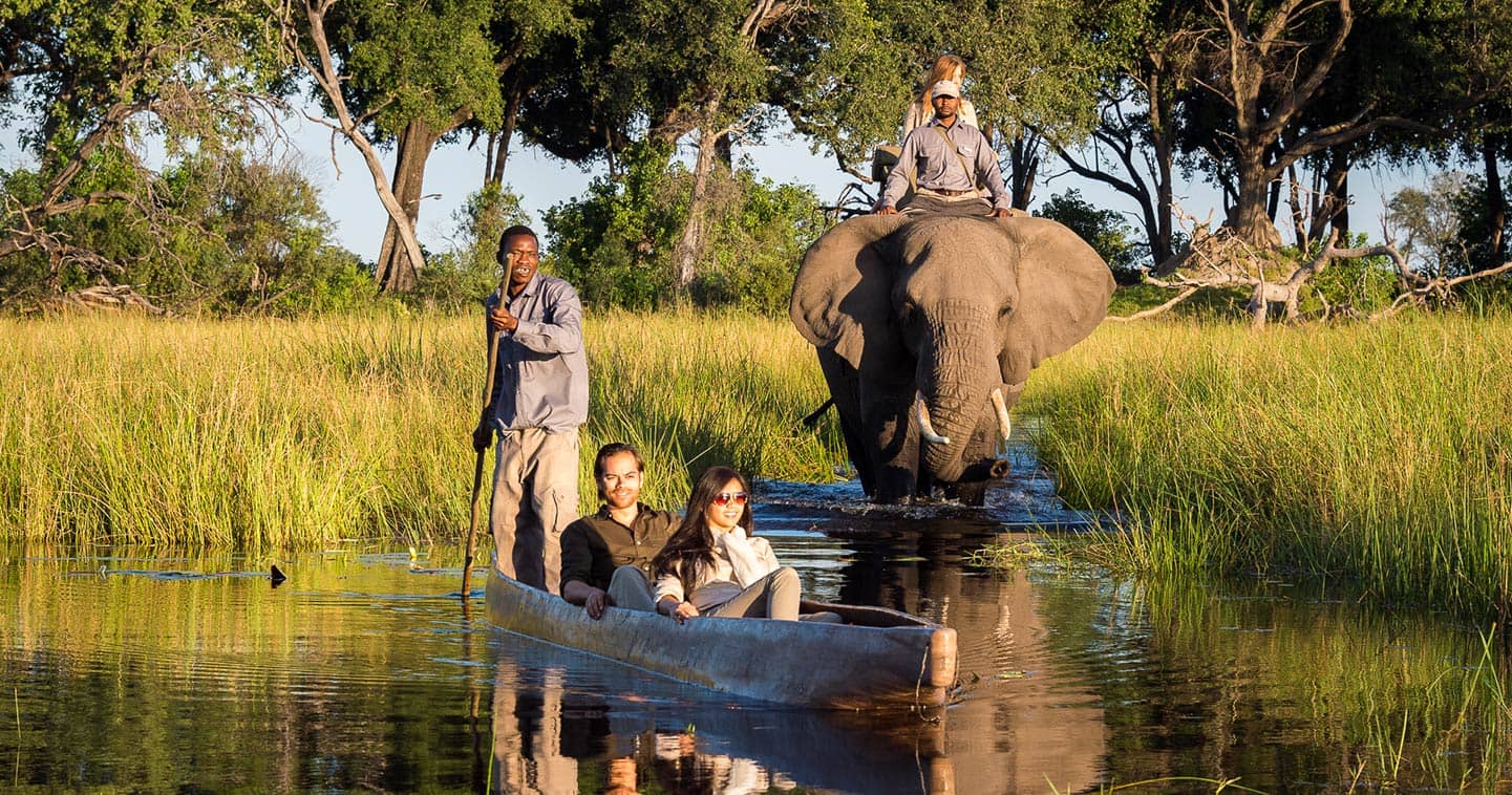 Okavango Delta Victoria Falls Gorilla Trekking Tour