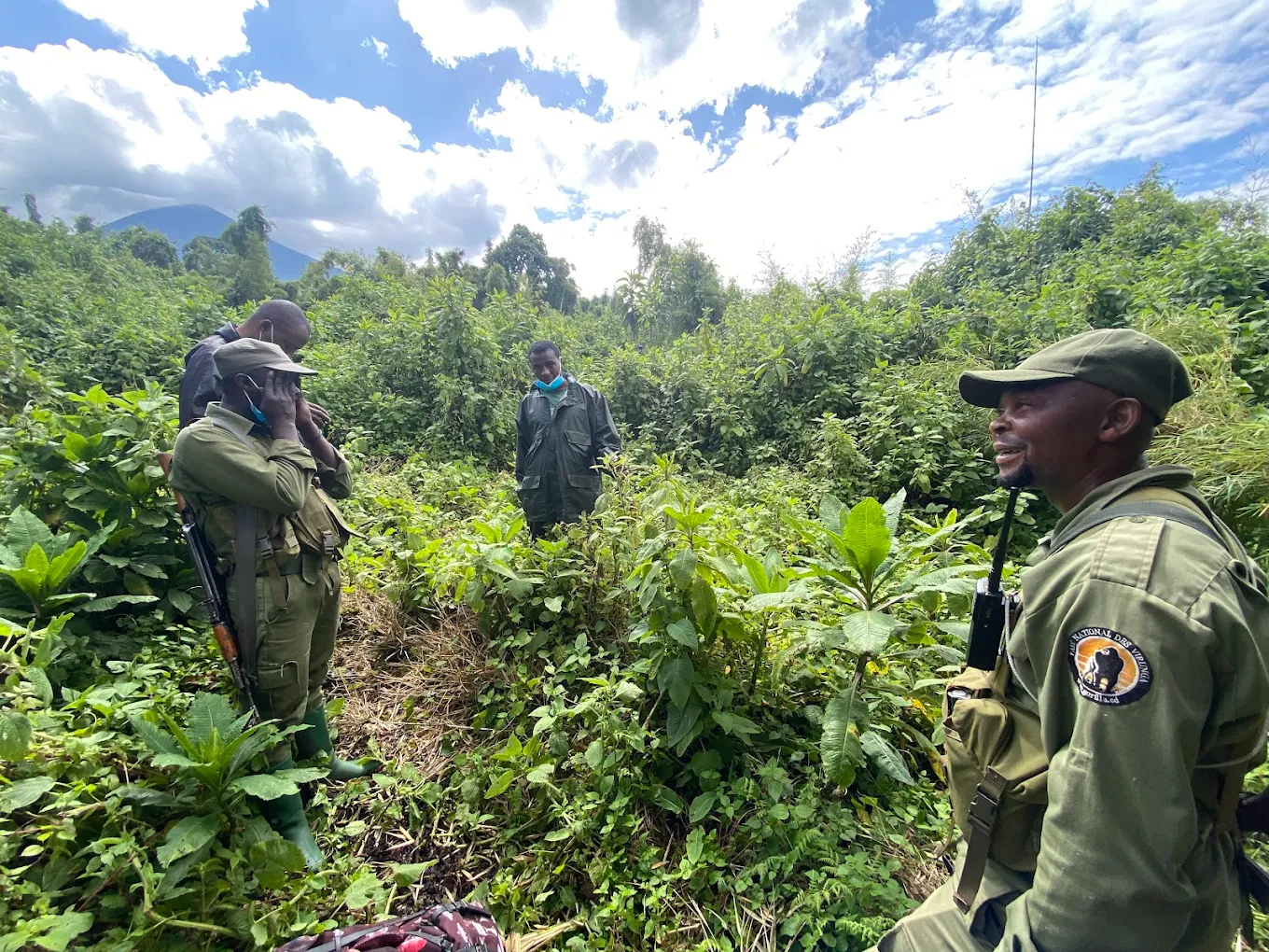 Book With Nextgen Safaris