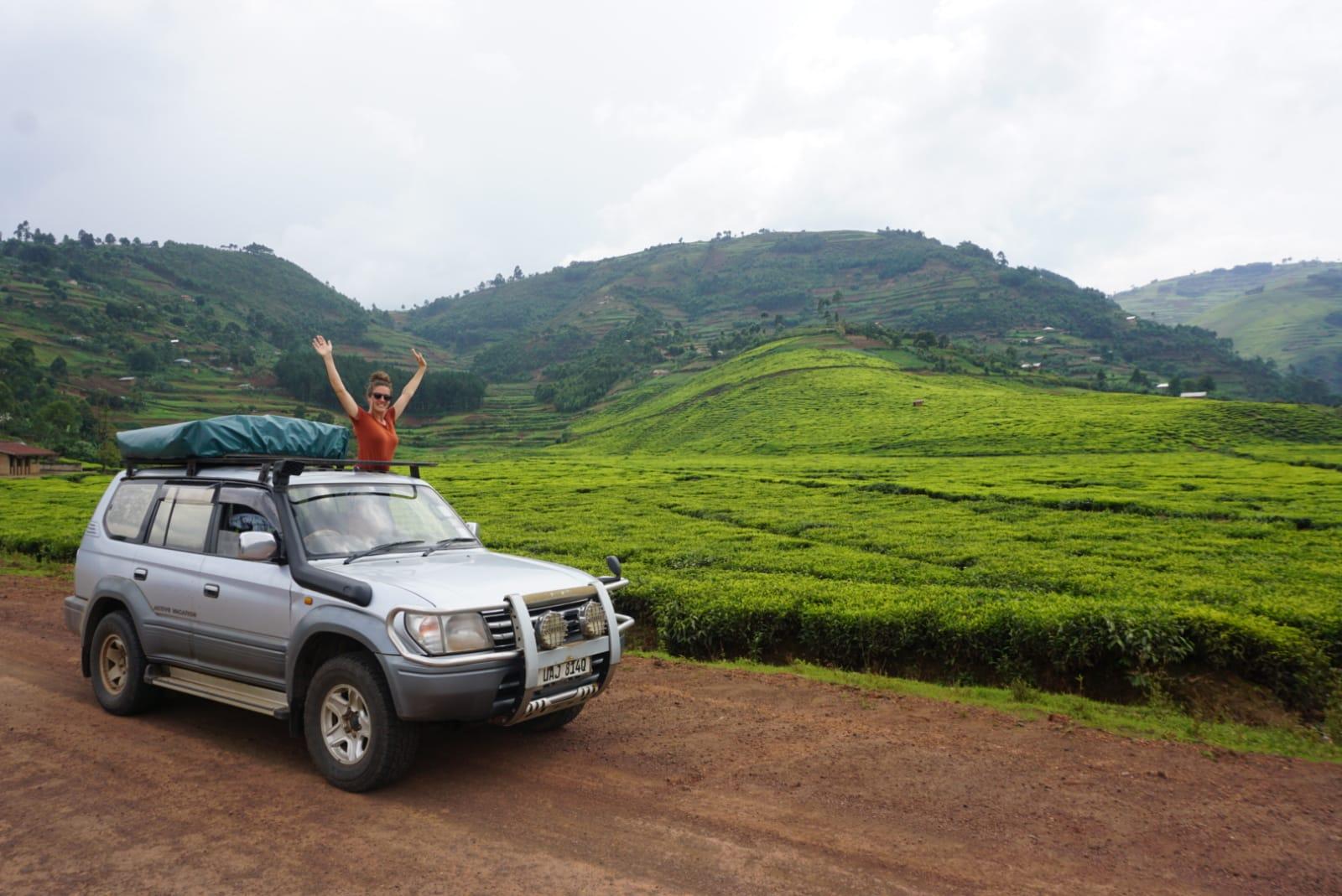 Can You Combine Uganda & Rwanda Gorilla Treks?