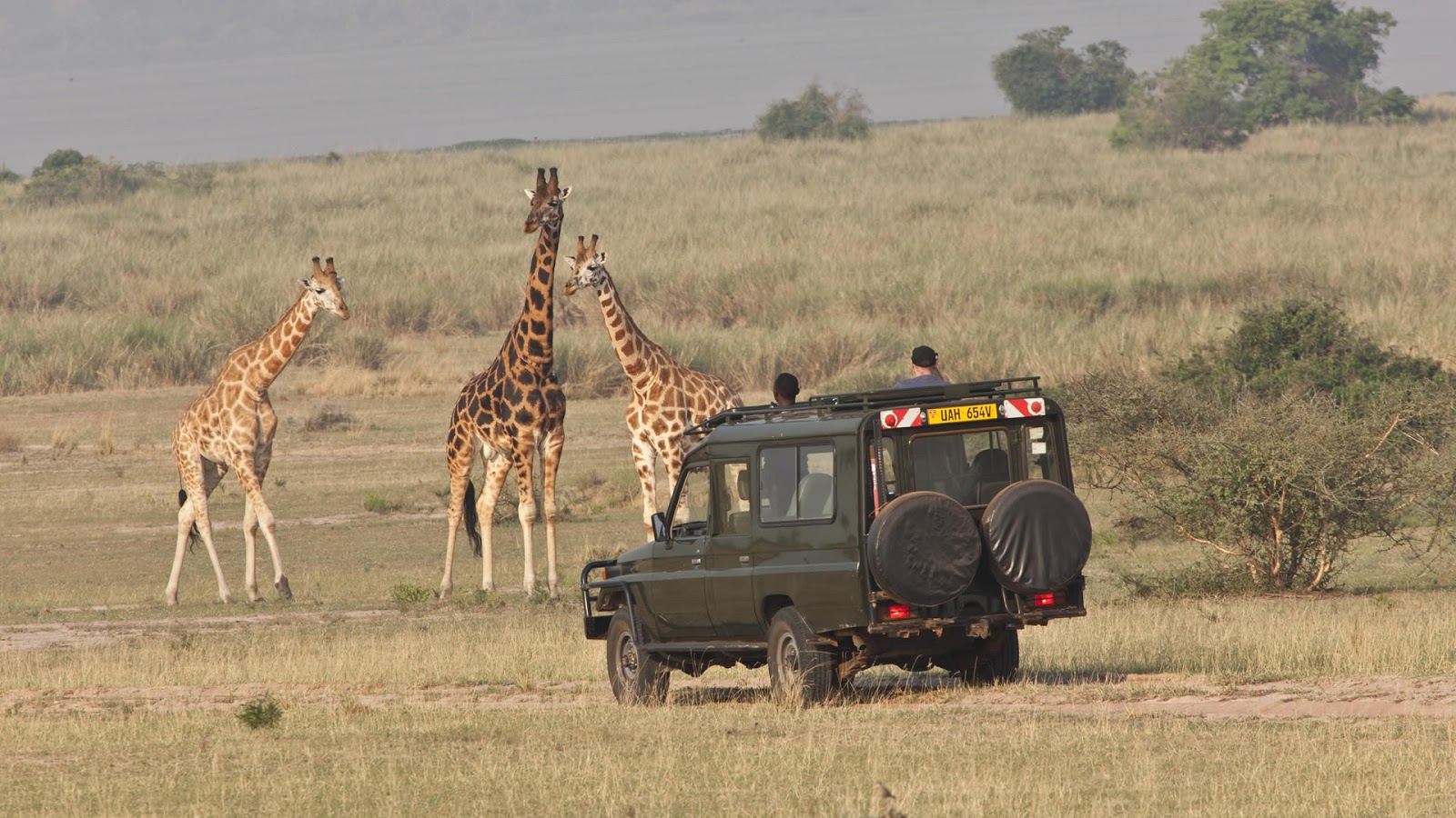 Game drive wildlife safari in Africa