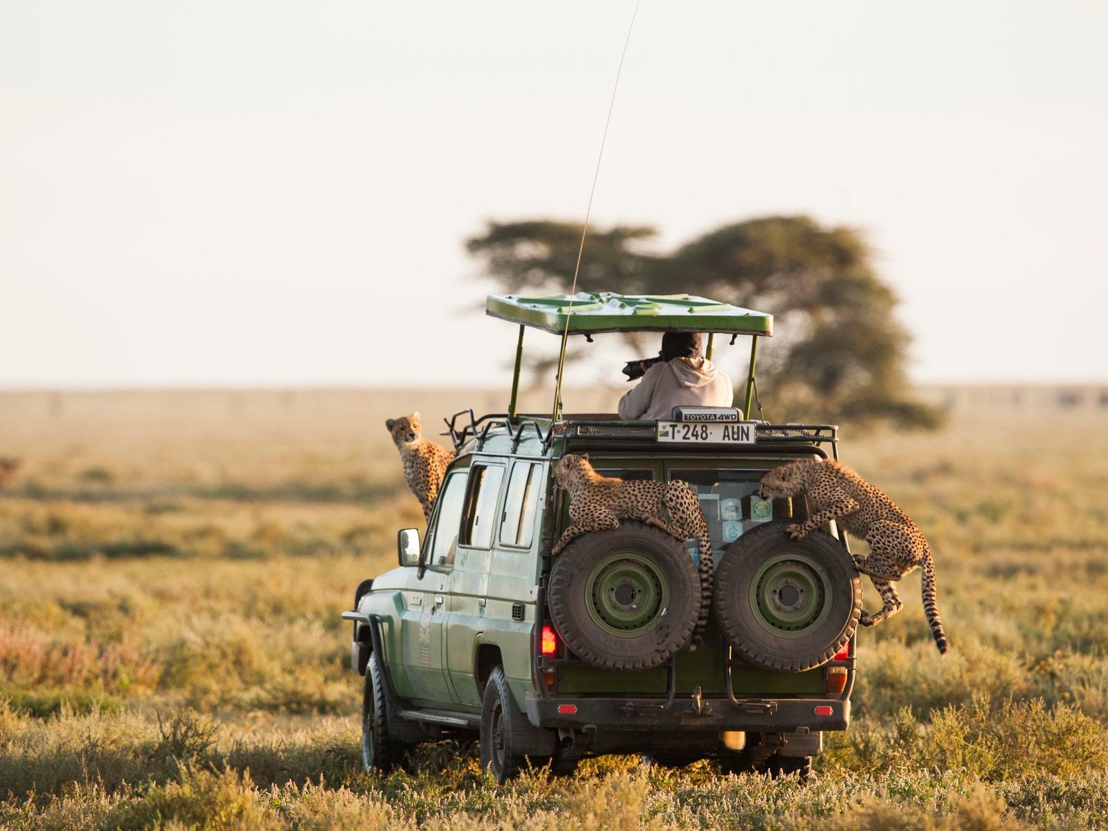 Safari Booking 2