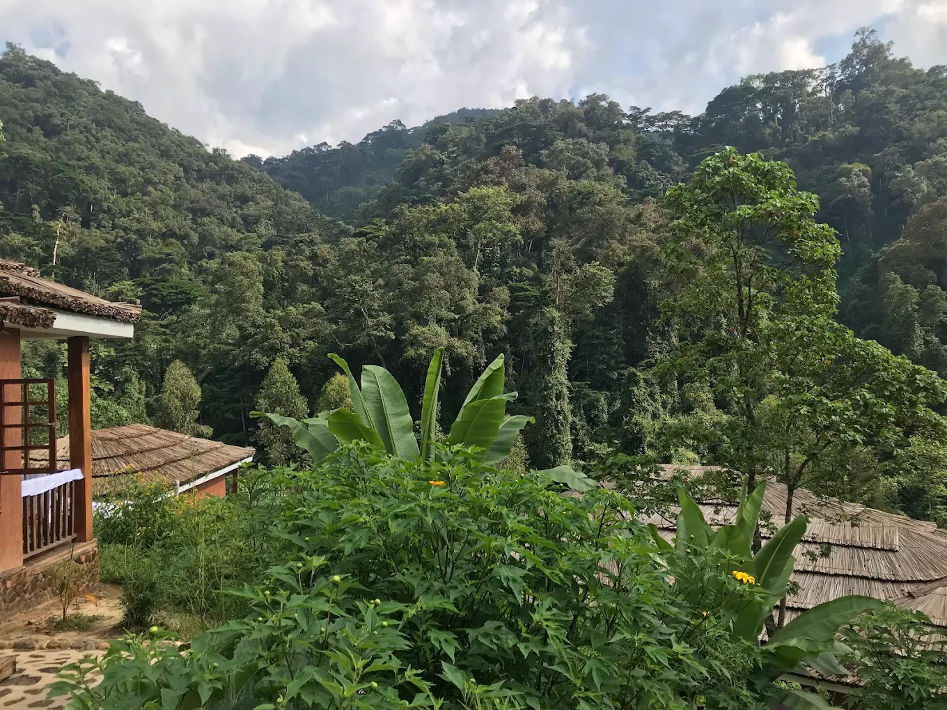 Four Gorillas Lodge Bwindi Forest