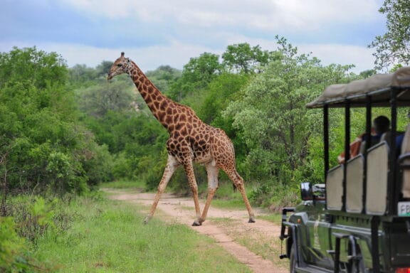 9 Days Affordable Cape Town Kruger and Victoria Falls - Victoria Falls Tours 2026/2027