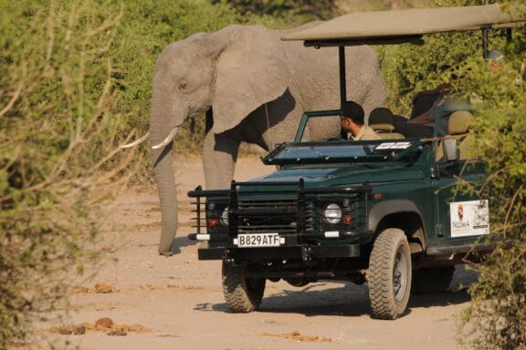 5 Days Short Victoria Falls and Chobe Experience - Victoria Falls Tours 2026/2027