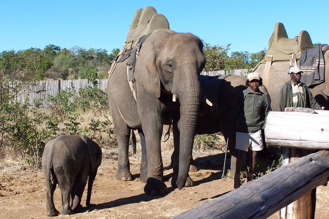 4 Days Livingstone Discovery - Victoria Falls Tours 2026/2027