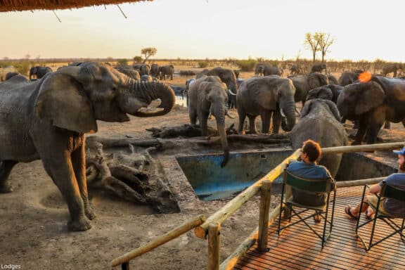 9 Days Hwange Experiential Safari and Victoria Falls - Victoria Falls Tours 2026/2027