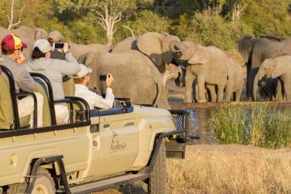 8 Days South Africa Big 5 Safari and Victoria Falls Journey - Victoria Falls Tours 2026/2027