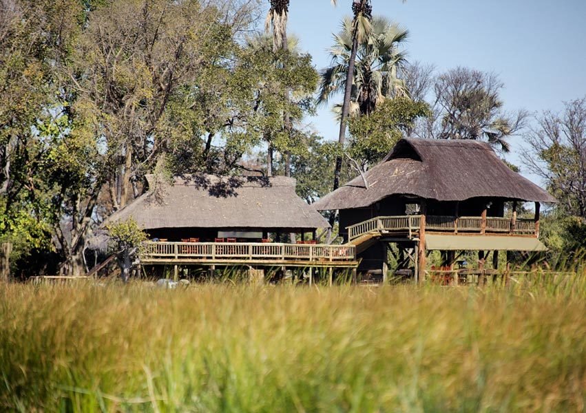 Luxury Safari Lodge Accommodation in Okavango Delta