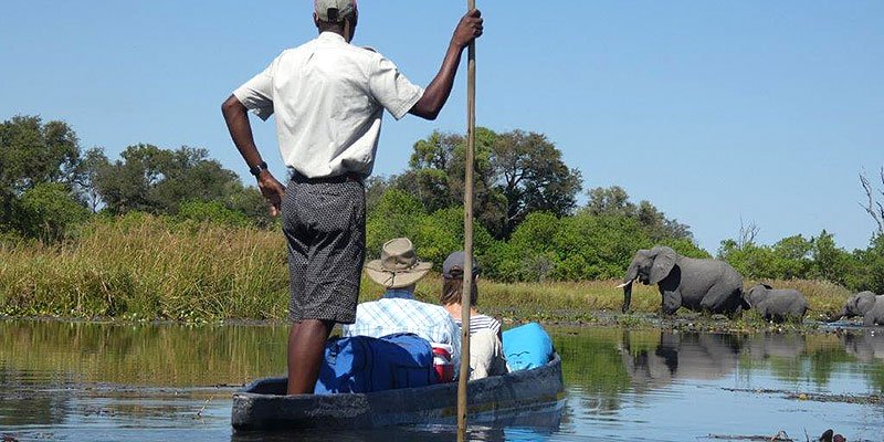 Moremi Activity 1