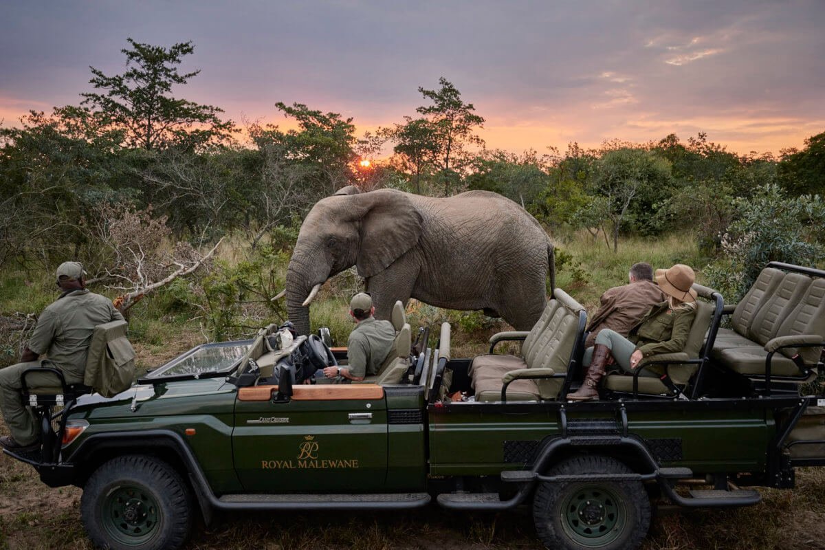 Africa adventure scene