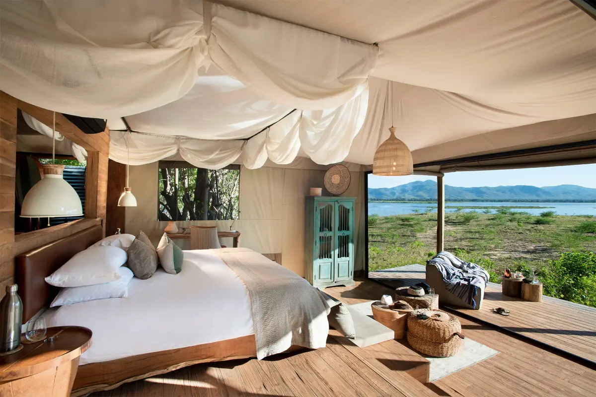Africa landscape and safari