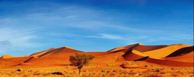 Africa travel scene