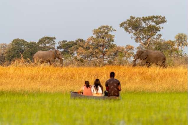 Africa safari and landscape