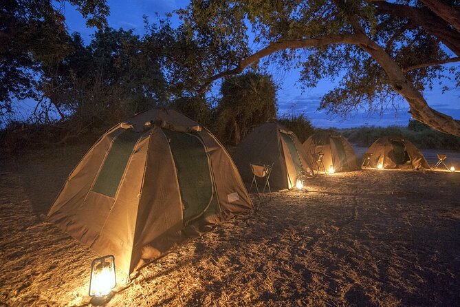 Botswana Luxury Safari Camps Experience