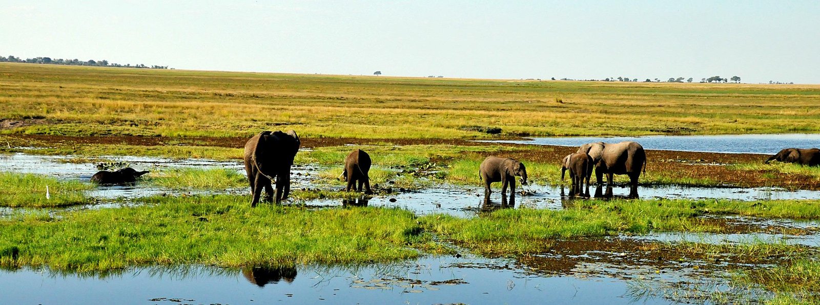 Book Your Private Victoria Falls and Chobe Safari
