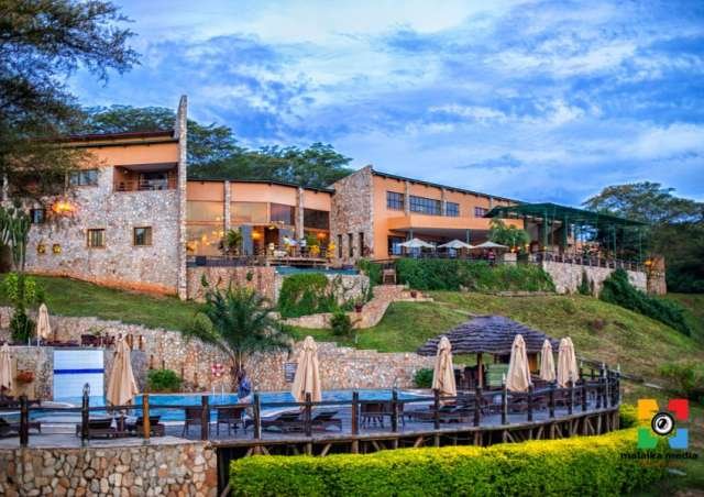 Budget Safari Experience in Africa