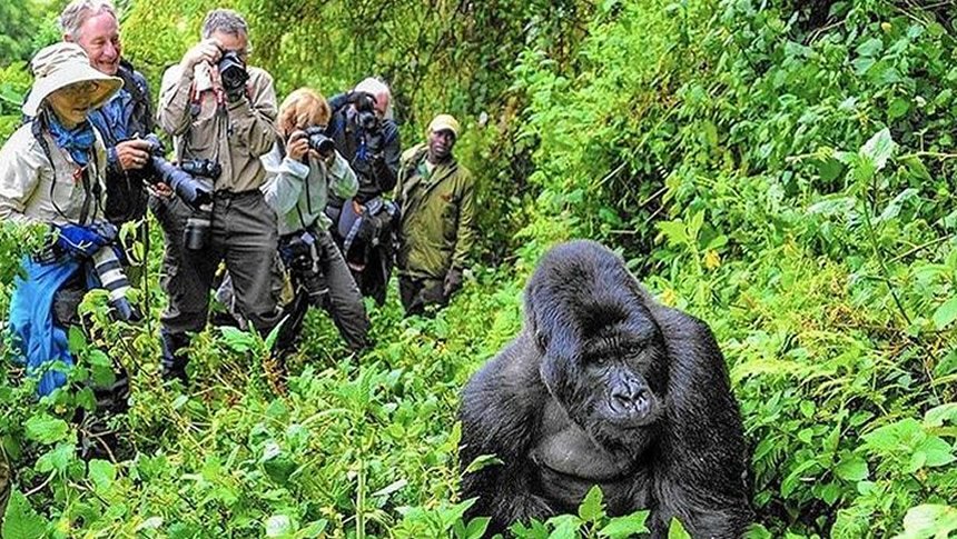 Bwindi Impenetrable National Park