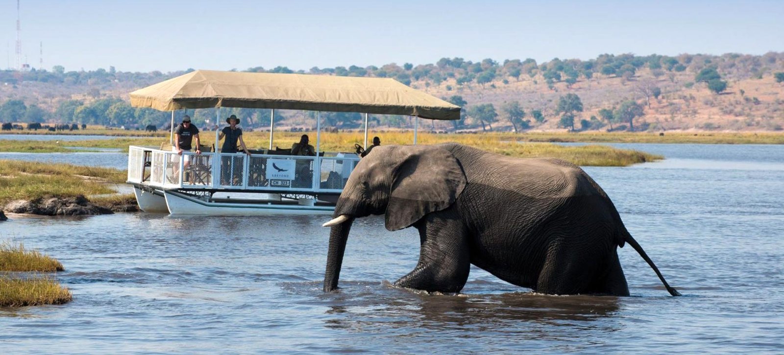 Chobe River Cruise