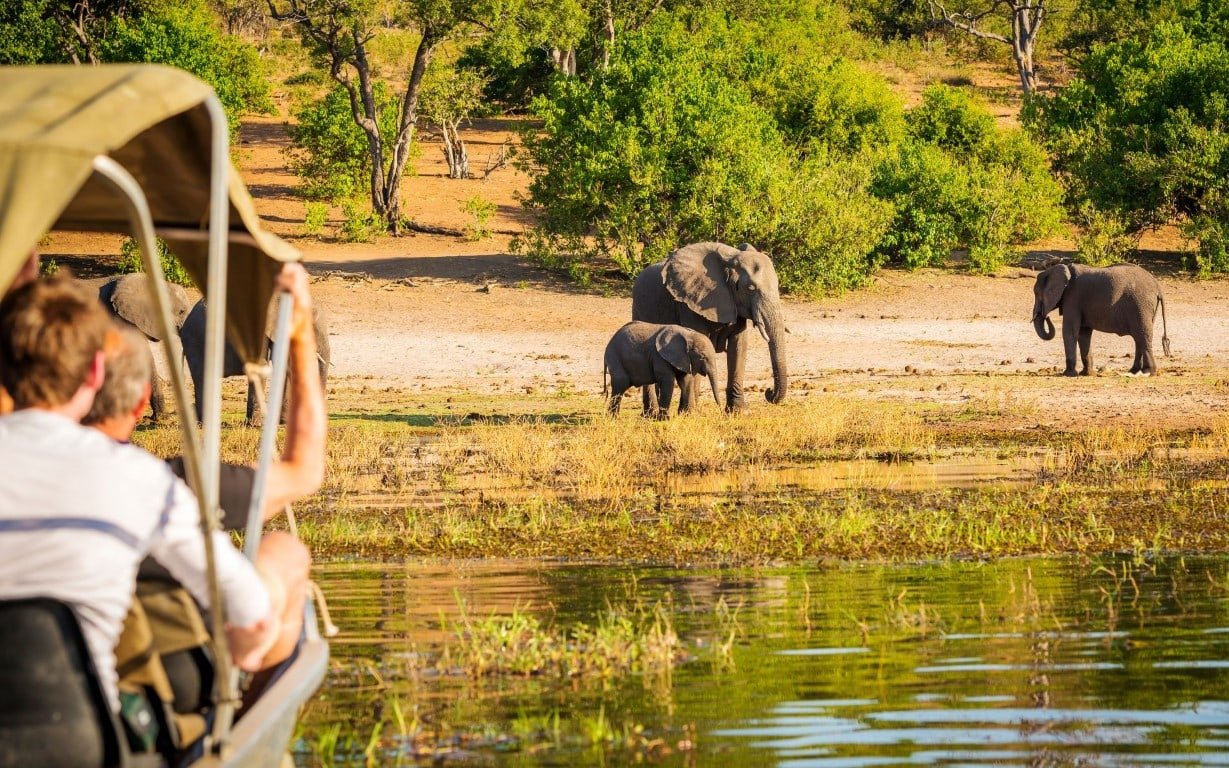 Family River Safari Experience in Chobe