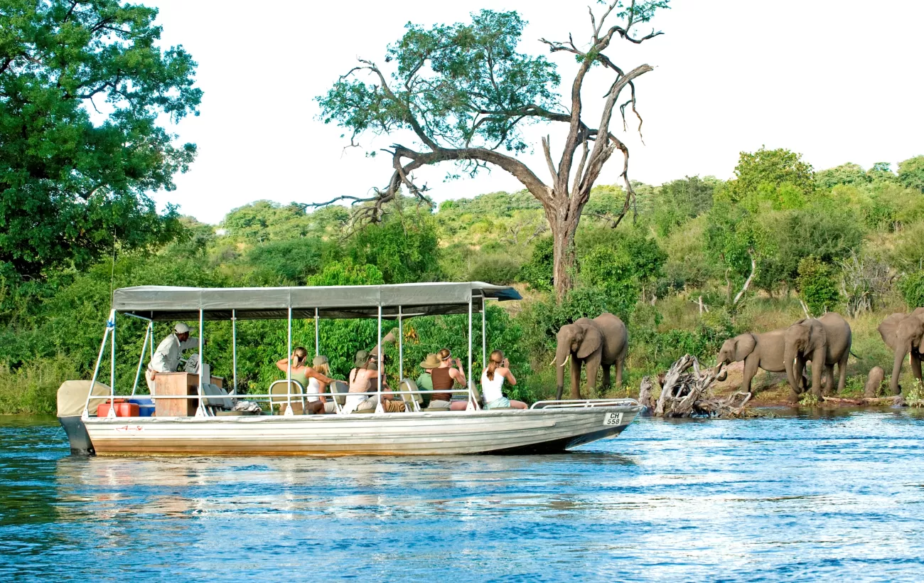 Luxury Chobe River Safari Adventure