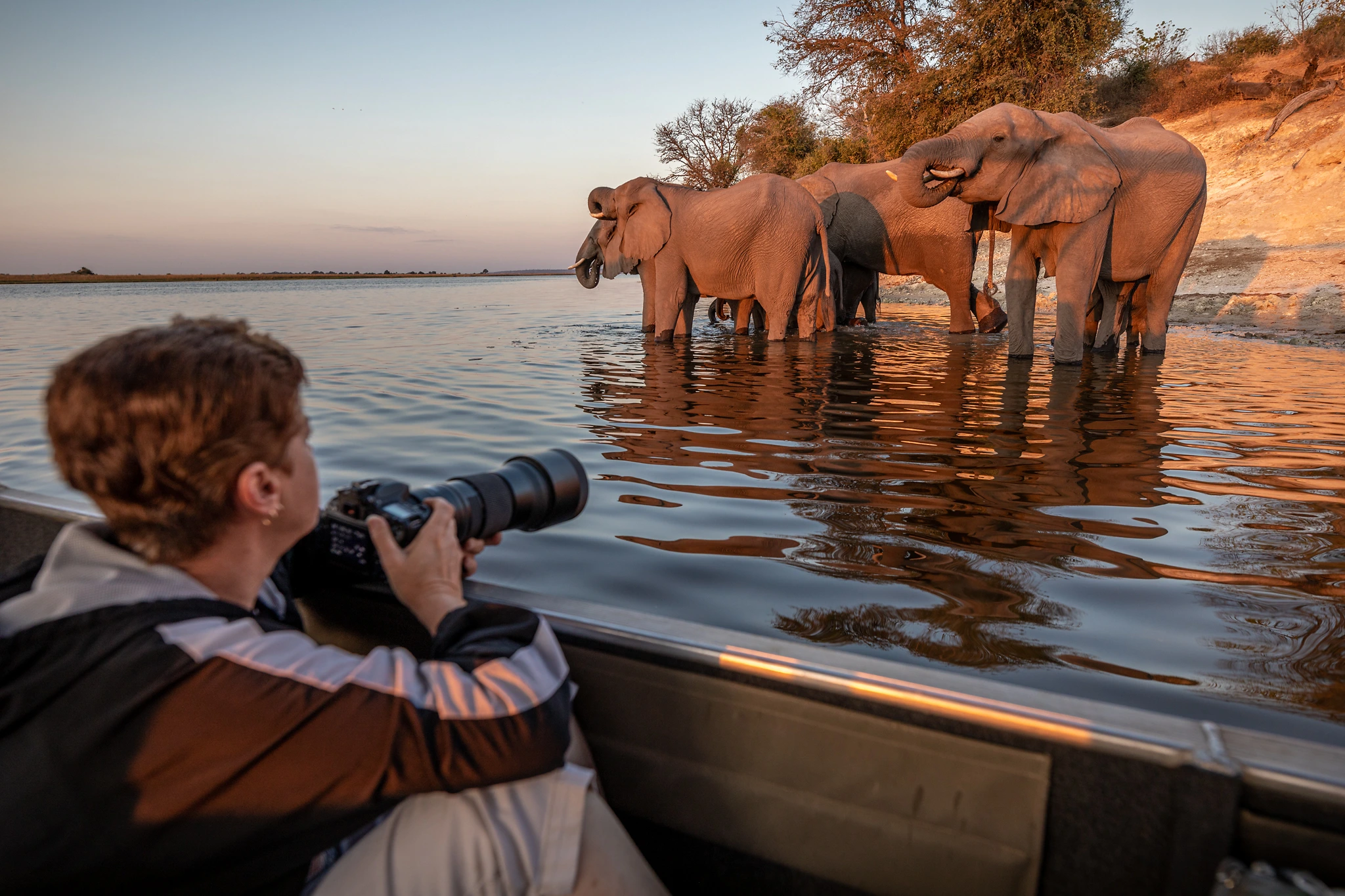 Chobe River Safari Experience