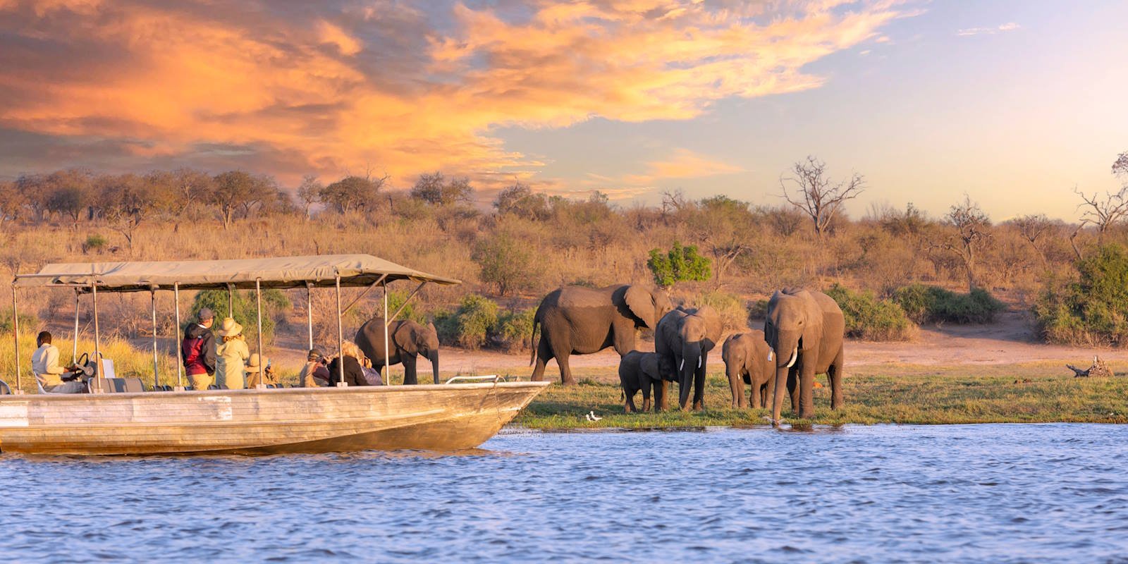 Chobe River Sunset Experience Safari