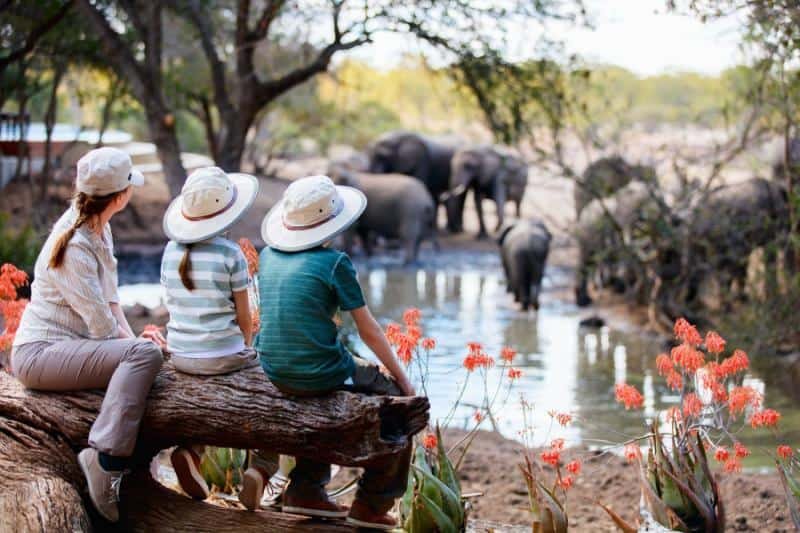 Family Safari Adventure in Chobe Botswana
