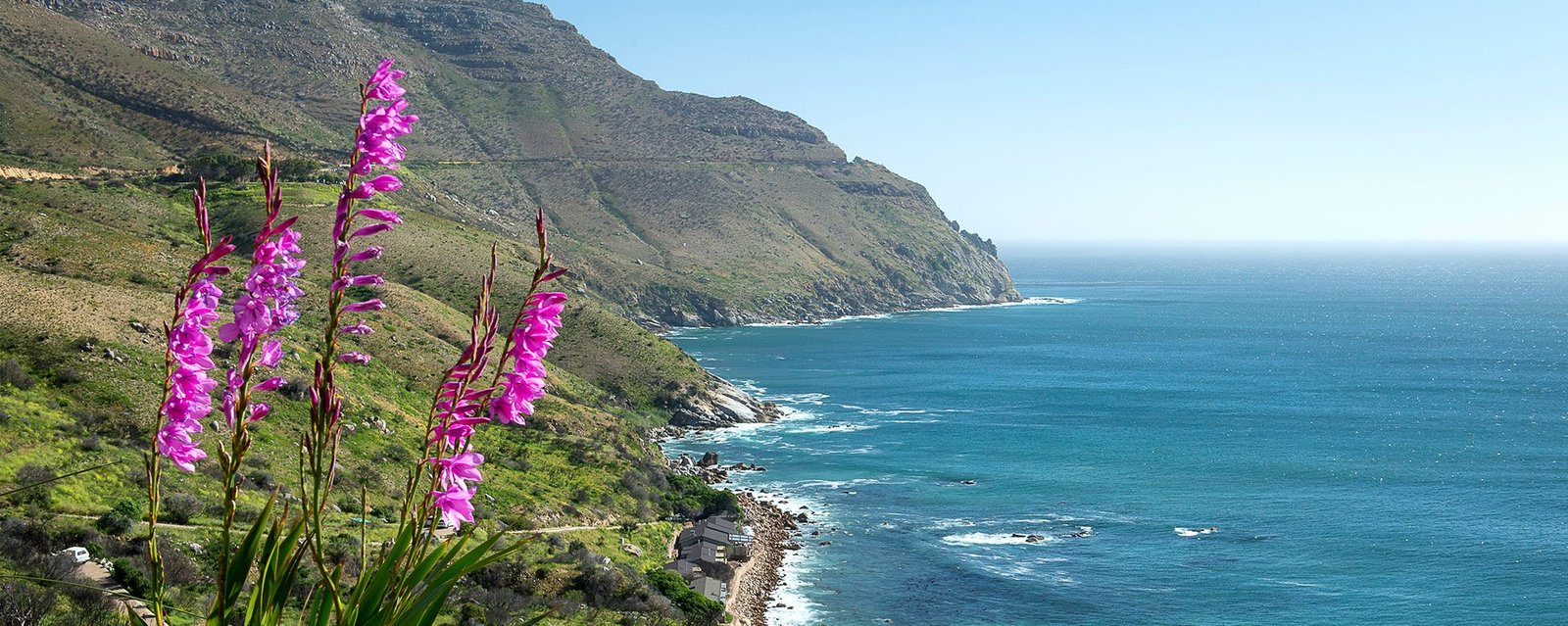 Exploring the Cape Peninsula Coastline