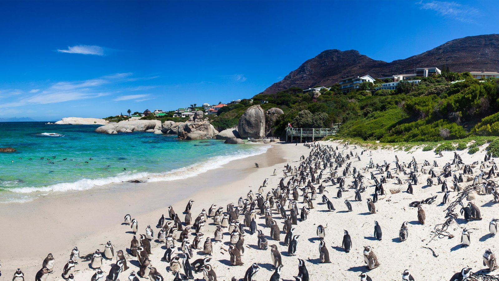 Cape Peninsula Coastal Views