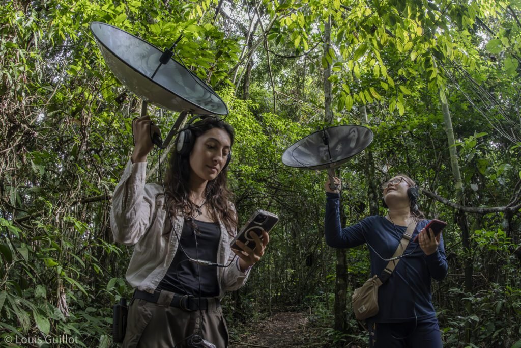 Conservation and Sustainable Travel