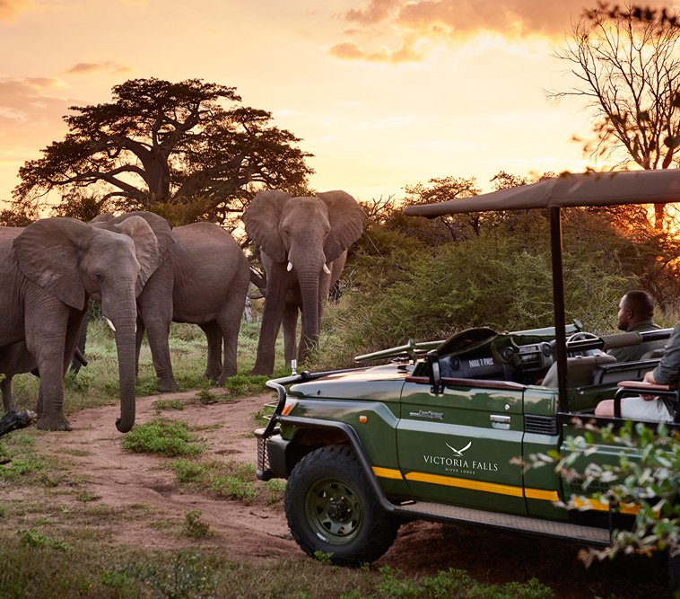 Victoria Falls safari pricing and cost guide