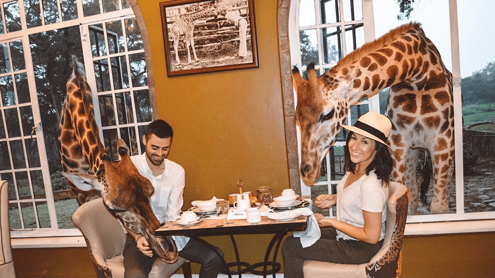 Culinary and wildlife experiences