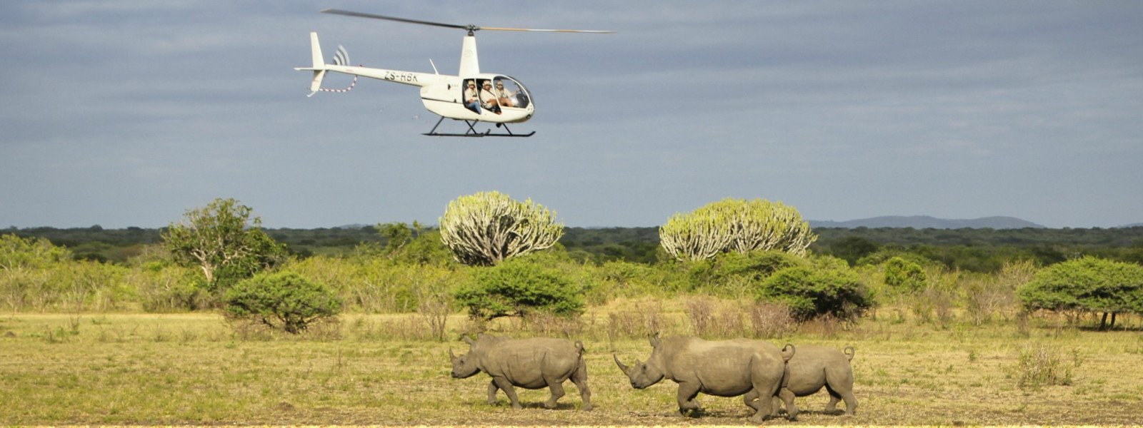 Luxury Safari Destinations