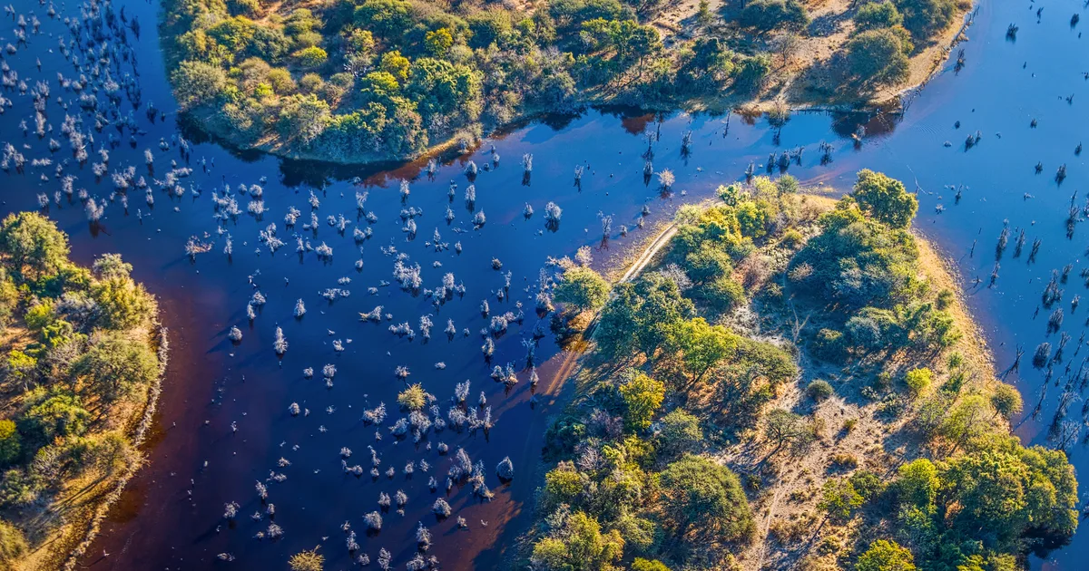Okavango Delta Luxury Safari