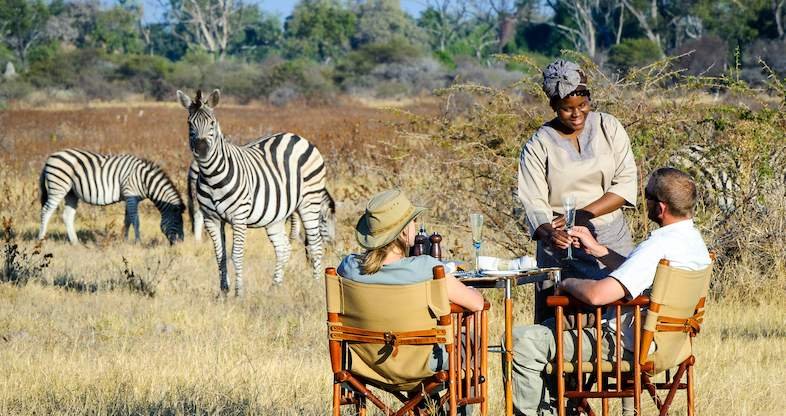 Exclusive Wildlife Experiences in Botswana