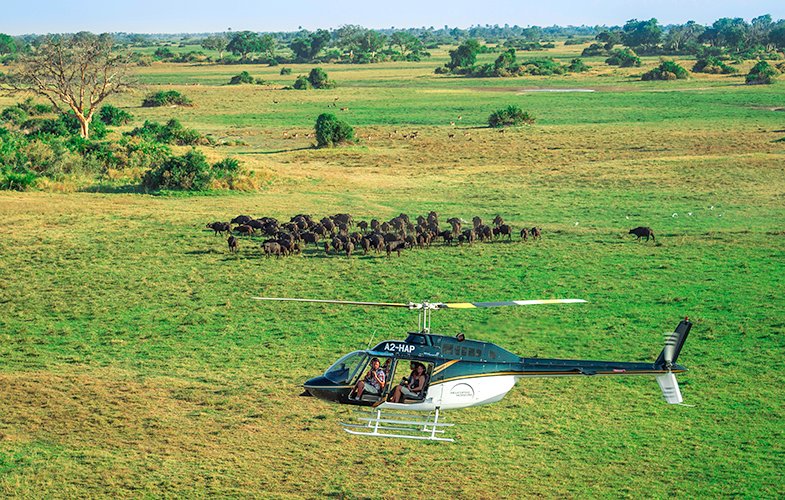 Premium Africa travel experience