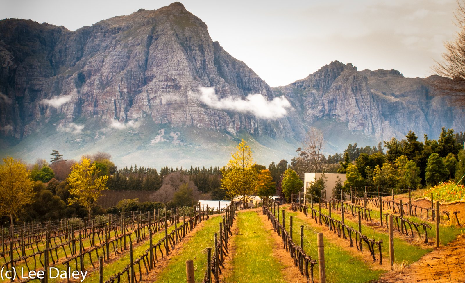 Exploring the Cape Winelands