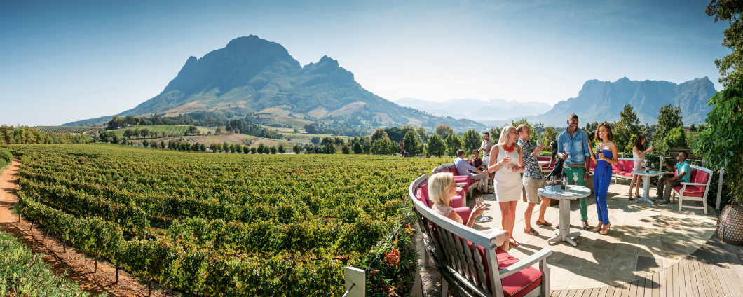 Exploring the Cape Winelands Scenic Views