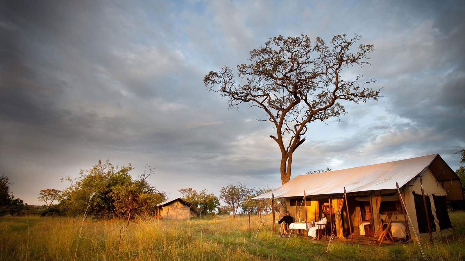 Serengeti Wildlife Safari