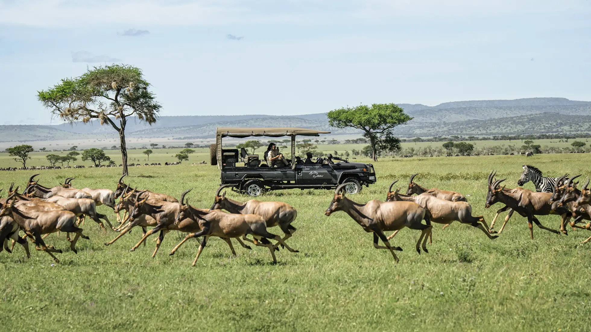 Exploring the Legendary Serengeti