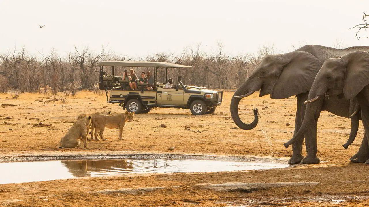 Family Wildlife Viewing Experience
