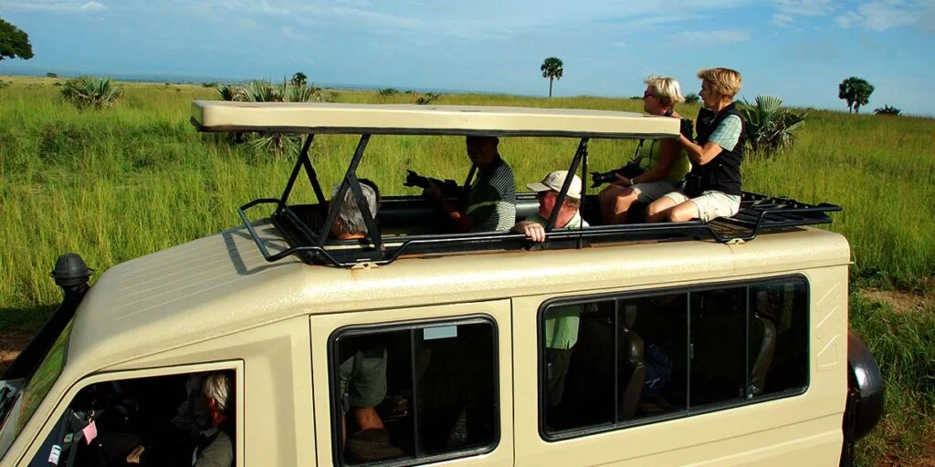 Family Friendly Game Drives